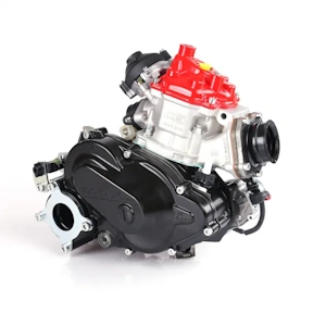 Rotax Max DD2 EVO Short